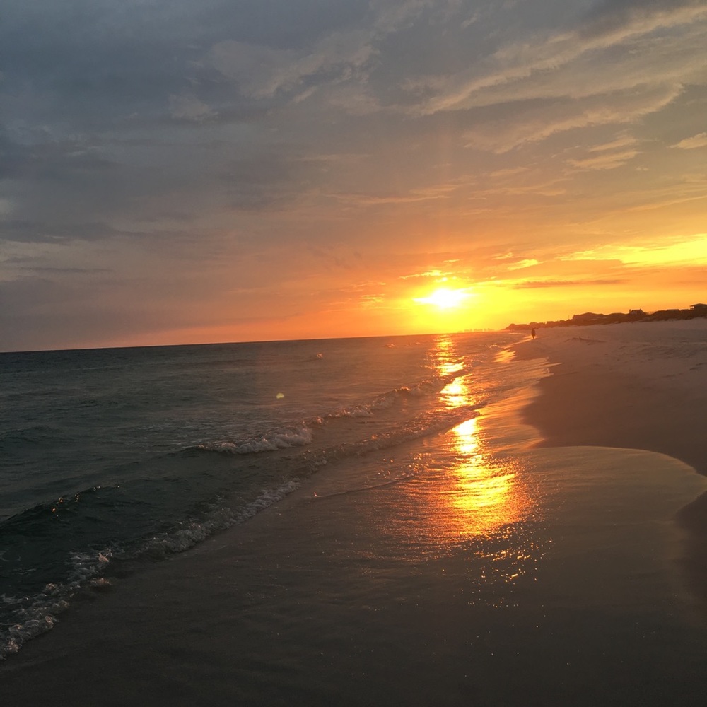 Meet your Posher, Kylie